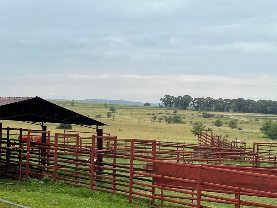 6 Bedroom Property for Sale in Ladybrand Rural Free State